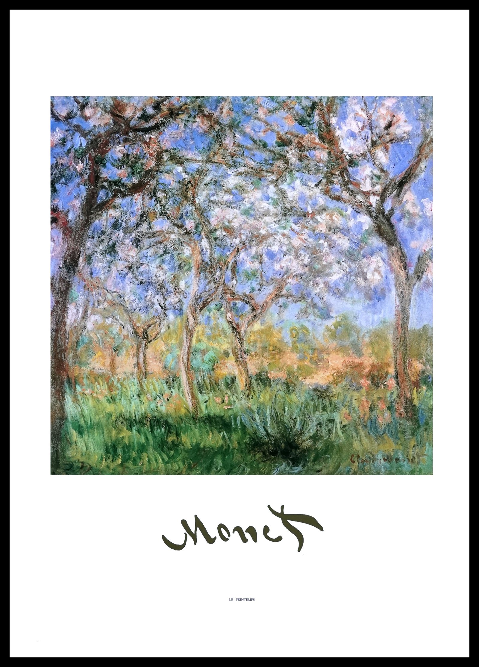 EGIM MONET-45